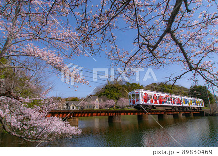 和歌山電鐵　チャギントン電車　和歌山県和歌山市大池遊園 89830469