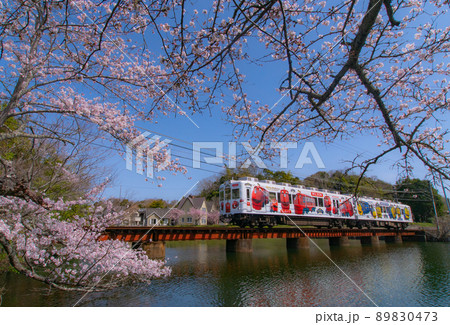 和歌山電鐵　チャギントン電車　和歌山県和歌山市大池遊園 89830473