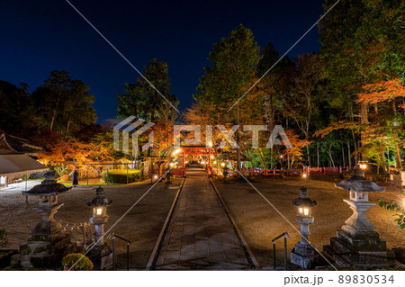 大原野神社　紅葉ライトアップ(京都府京都市西京区) 89830534
