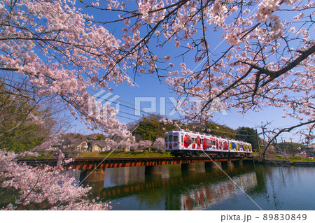 和歌山電鐵　チャギントン電車　和歌山県和歌山市大池遊園 89830849