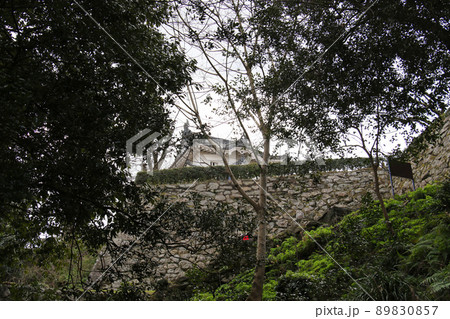 愛媛県宇和島市の史跡宇和島城跡　天守にいたる石段から石垣越しに天守が見える 89830857
