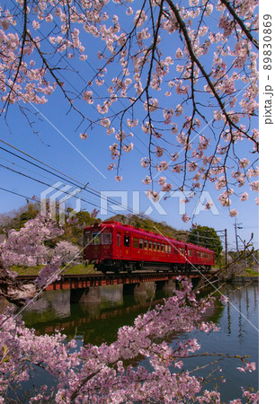 和歌山電鐵　うめ星電車　和歌山県和歌山市大池遊園 89830869