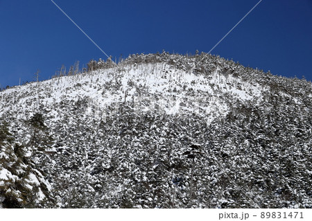 青空に映える雪山（北横岳　坪庭自然園　長野県 茅野市） 89831471