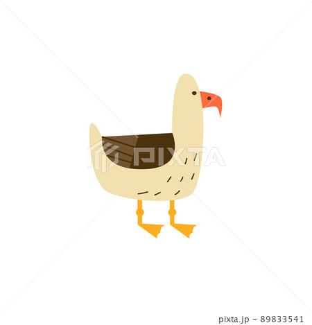 Gull or seagull standing seabird character, flat vector illustration isolated. 89833541