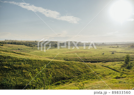 Wonderful landscape during sunrise. Wild flowers in springtime. Beautiful natural landscape in the summertime. Sunny day Wonderful landscape during sunrise. Wild flowers in springtime. Beautiful natural landscape in the summertime. Sunny day 89833560