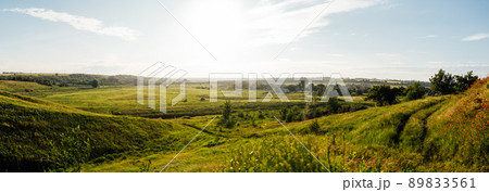 Wonderful landscape during sunrise. Wild flowers in springtime. Beautiful natural landscape in the summertime. Sunny day Wonderful landscape during sunrise. Wild flowers in springtime. Beautiful natural landscape in the summertime. Sunny day 89833561