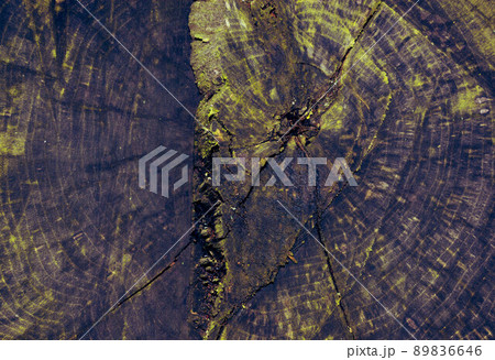 Texture of an old decrepit wet green hemp. Texture of an old decrepit wet green hemp. 89836646