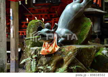 伏見稲荷大社より 89838502