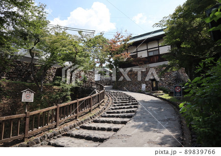 犬山城への路_愛知県 89839766