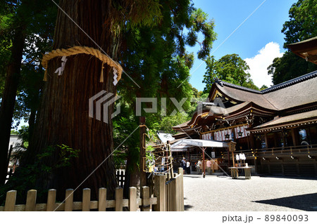 大神神社より 大神神社より 89840093