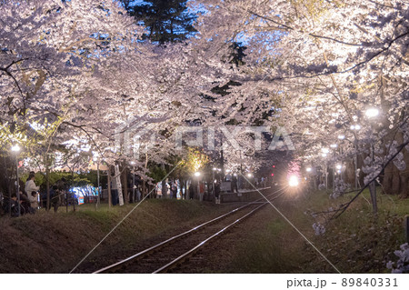 ライトアップされた桜のトンネルと津軽鉄道(青森県) ライトアップされた桜のトンネルと津軽鉄道(青森県) 89840331