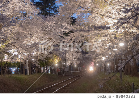 ライトアップされた桜のトンネルと走れメロス号（青森県 89840333