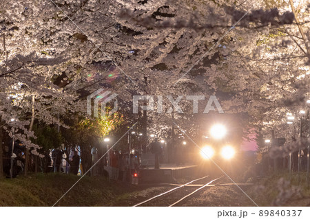 ライトアップされた桜のトンネルと走れメロス号(青森県五所川原市 ライトアップされた桜のトンネルと走れメロス号(青森県五所川原市 89840337