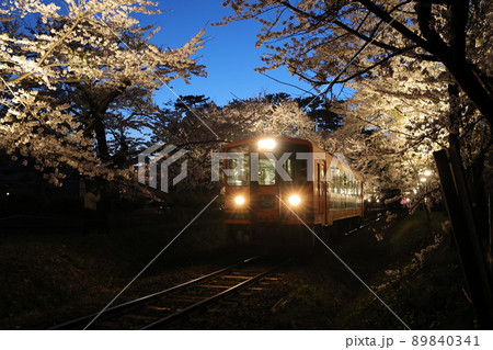 ライトアップした桜のトンネルと走れメロス号（青森県五所川原市 89840341