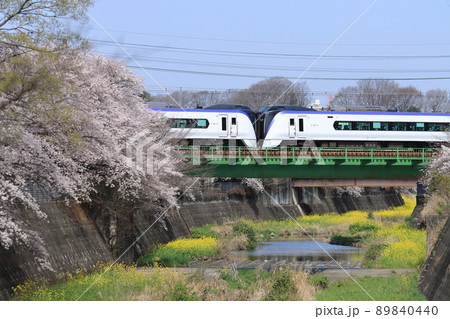 満開の桜が咲き誇る残堀川を往くE353系電車_2022/4/2撮影 満開の桜が咲き誇る残堀川を往くE353系電車_2022/4/2撮影 89840440
