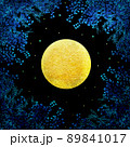 夜空に浮かぶ満月と植物 89841017