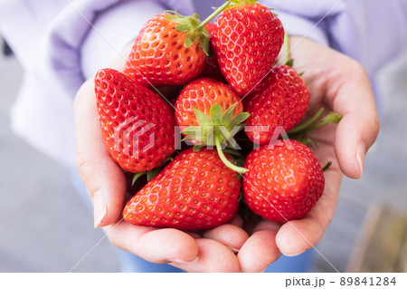 手にいっぱいの新鮮ないちご 手にいっぱいの新鮮ないちご 89841284