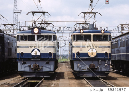 ブルートレイン ブルートレイン 89841977