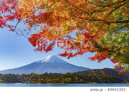 富士山と紅葉　山梨県富士河口湖町の河口湖畔にて 89842302