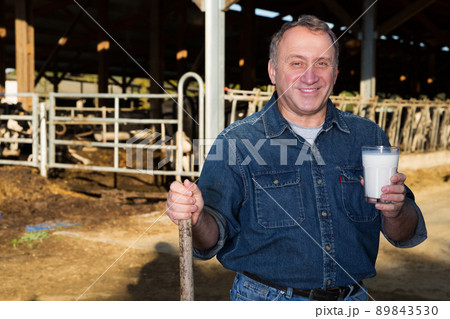 mature male farmer with cow milk mature male farmer with cow milk 89843530