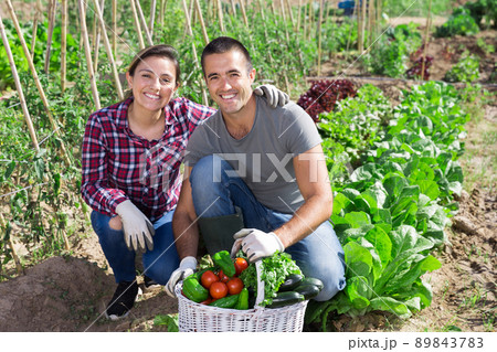 Happy married couple with crop of vegetables on farm 89843783