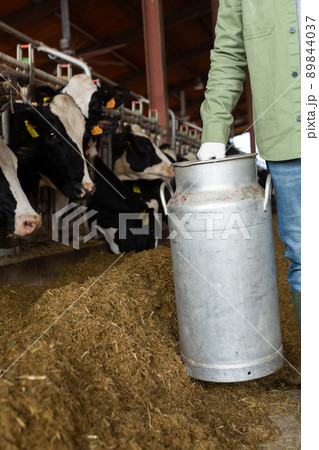 Farmer carrying milk can in cowhouse Farmer carrying milk can in cowhouse 89844037