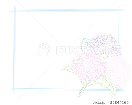 あじさいの線画フレーム⑥(カラフル,手描き枠) あじさいの線画フレーム⑥(カラフル,手描き枠) 89844166
