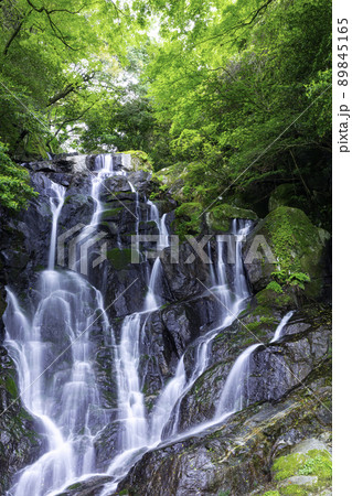 糸島の人気観光スポット 初夏の新緑が美しい白糸の滝 (福岡県糸島市) 糸島の人気観光スポット 初夏の新緑が美しい白糸の滝 (福岡県糸島市) 89845165