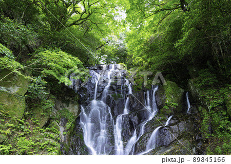 糸島の人気観光スポット 初夏の新緑が美しい白糸の滝 (福岡県糸島市) 糸島の人気観光スポット 初夏の新緑が美しい白糸の滝 (福岡県糸島市) 89845166