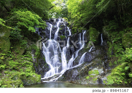 糸島の人気観光スポット　初夏の新緑が美しい白糸の滝　（福岡県糸島市） 89845167
