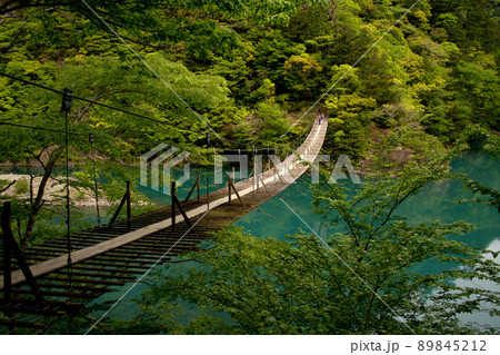 自然に溶け込む夢のつり橋 自然に溶け込む夢のつり橋 89845212