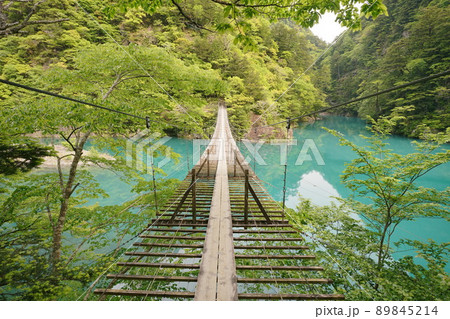 夢のつり橋 89845214