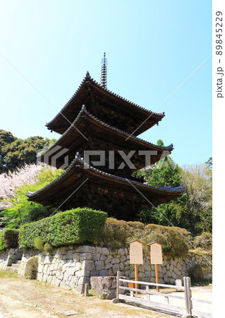 三井寺 三重塔 青空と満開の桜 三井寺 三重塔 青空と満開の桜 89845229