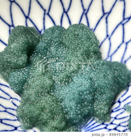 甘海老の卵 甘海老の卵 89845770