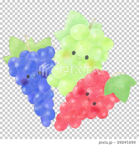 3つ並んだ かわいいぶどうのイラスト素材 8459