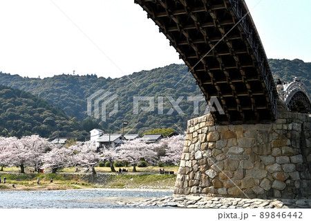 岩国市錦帯橋と桜 岩国市錦帯橋と桜 89846442