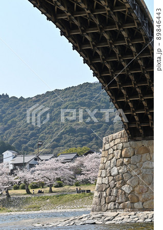 岩国市錦帯橋と桜 岩国市錦帯橋と桜 89846443