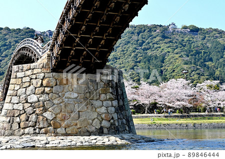 岩国市錦帯橋と桜 岩国市錦帯橋と桜 89846444