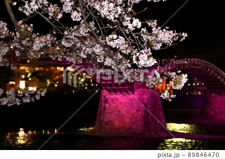 岩国市錦帯橋と桜の夜景 89846470