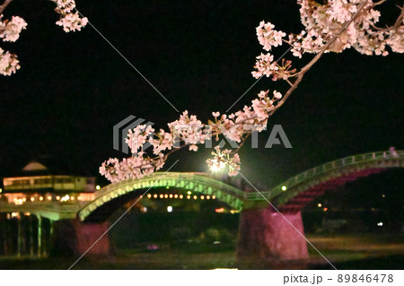 岩国市錦帯橋と桜の夜景 岩国市錦帯橋と桜の夜景 89846478