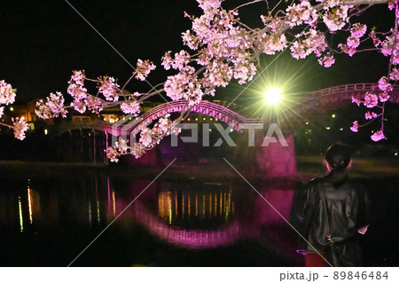 岩国市錦帯橋と桜の夜景 89846484