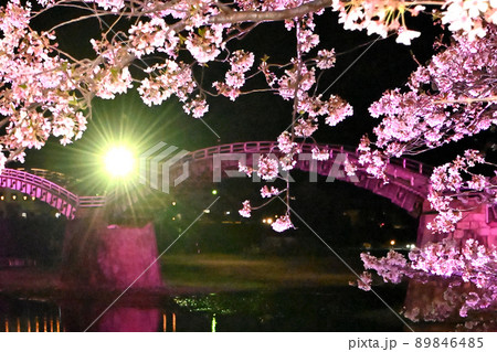 岩国市錦帯橋と桜の夜景 89846485
