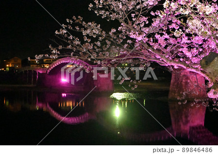 岩国市錦帯橋と桜の夜景 89846486