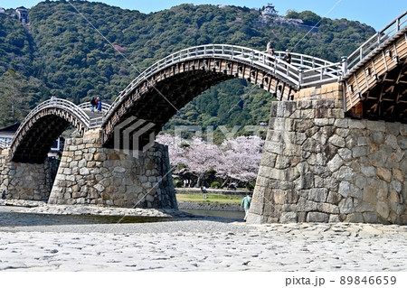 岩国市錦帯橋と桜 89846659