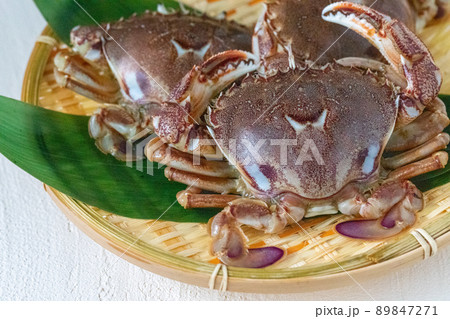 新鮮なヒラツメガニ 89847271