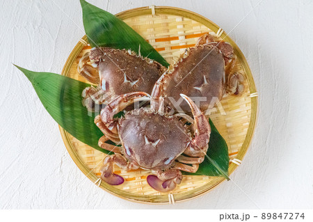 新鮮なヒラツメガニ 89847274