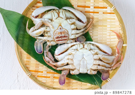 新鮮なヒラツメガニ 新鮮なヒラツメガニ 89847278
