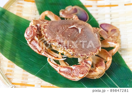 新鮮なヒラツメガニ 新鮮なヒラツメガニ 89847281