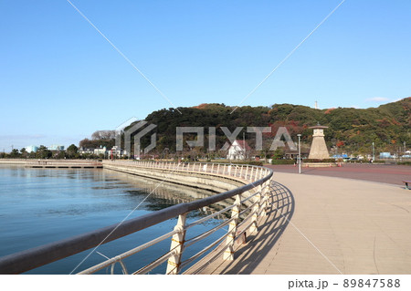 金ヶ崎緑地(福井県敦賀市) 金ヶ崎緑地(福井県敦賀市) 89847588
