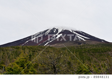 富士山 奥庭自然公園 富士山 奥庭自然公園 89848131